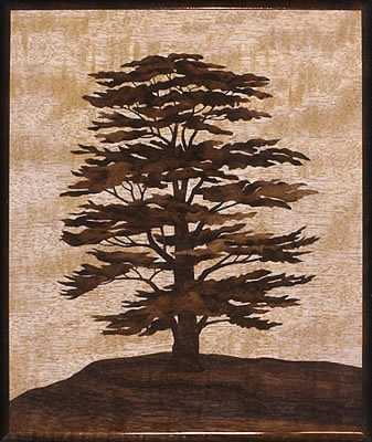 Cedar of Lebanon by H Edwards